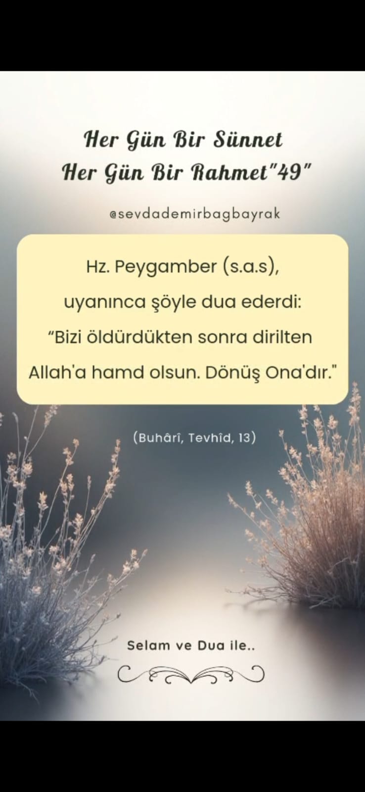 HER GÜN BİR SÜNNET HER GÜN BİR RAHMET 49