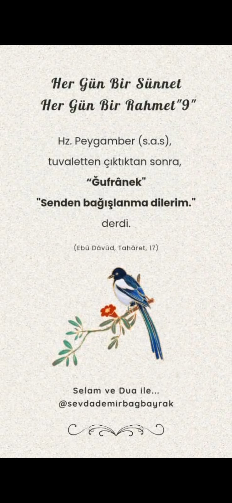 HER GÜN BİR SÜNNET HER GÜN BİR RAHMET 11