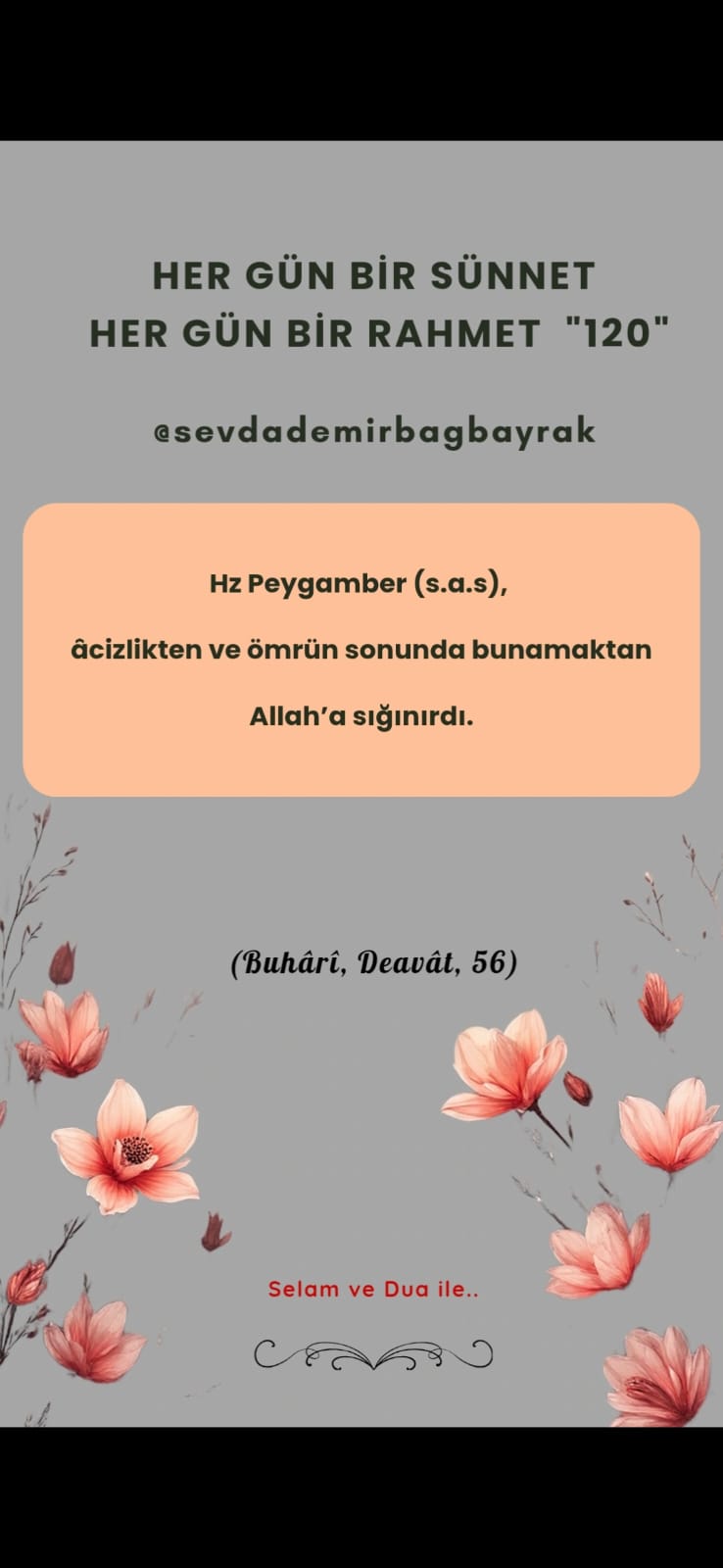 HER GÜN BİR SÜNNET HER GÜN BİR RAHMET 120