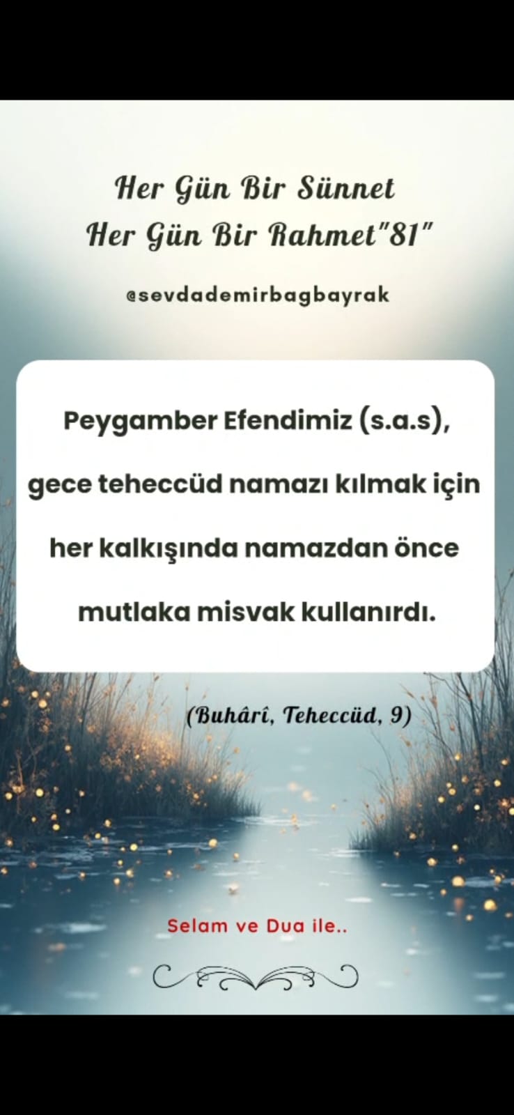 HER GÜN BİR SÜNNET HER GÜN BİR RAHMET 81
