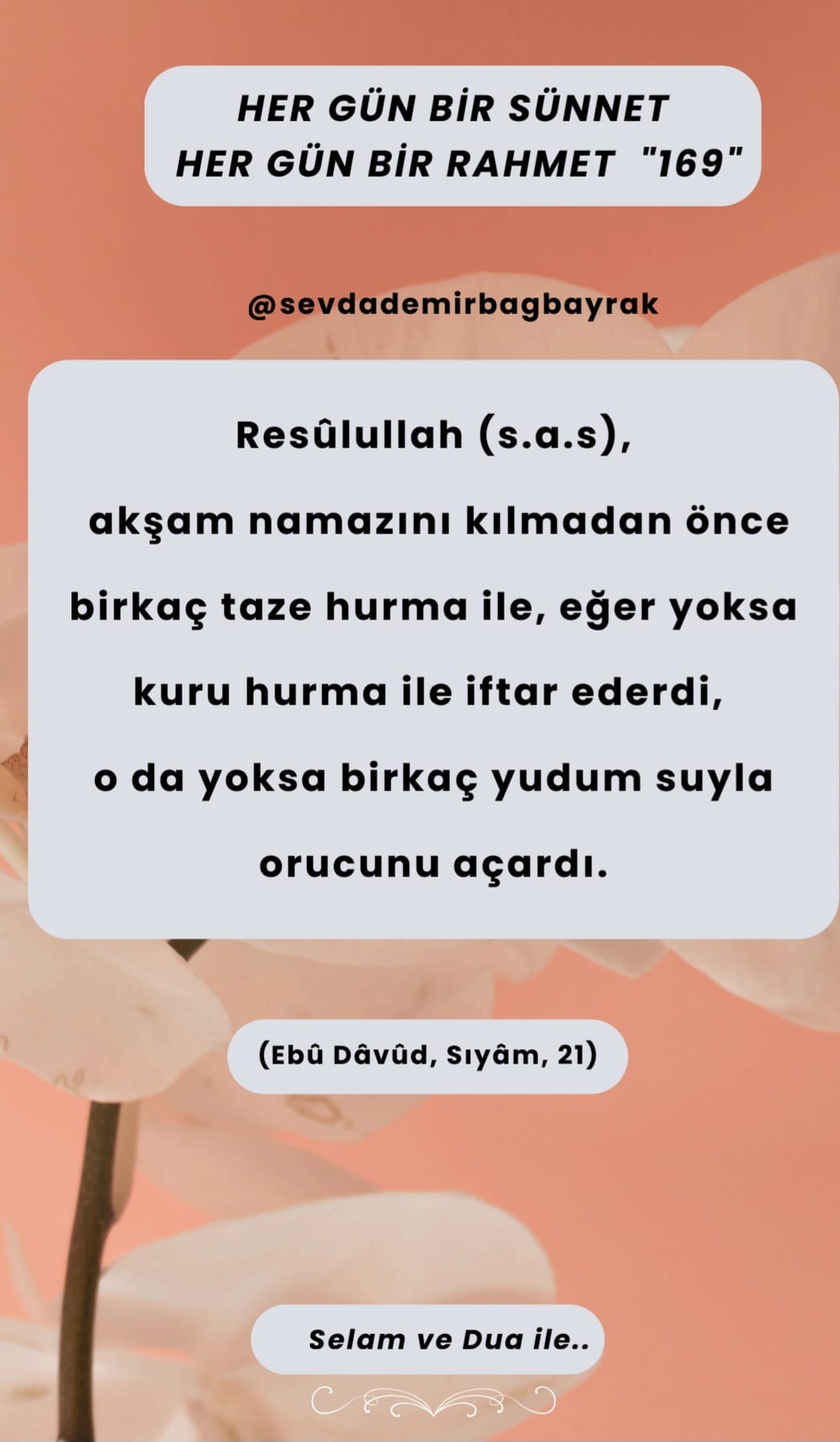 HER GÜN BİR SÜNNET HER GÜN BİR RAHMET 169