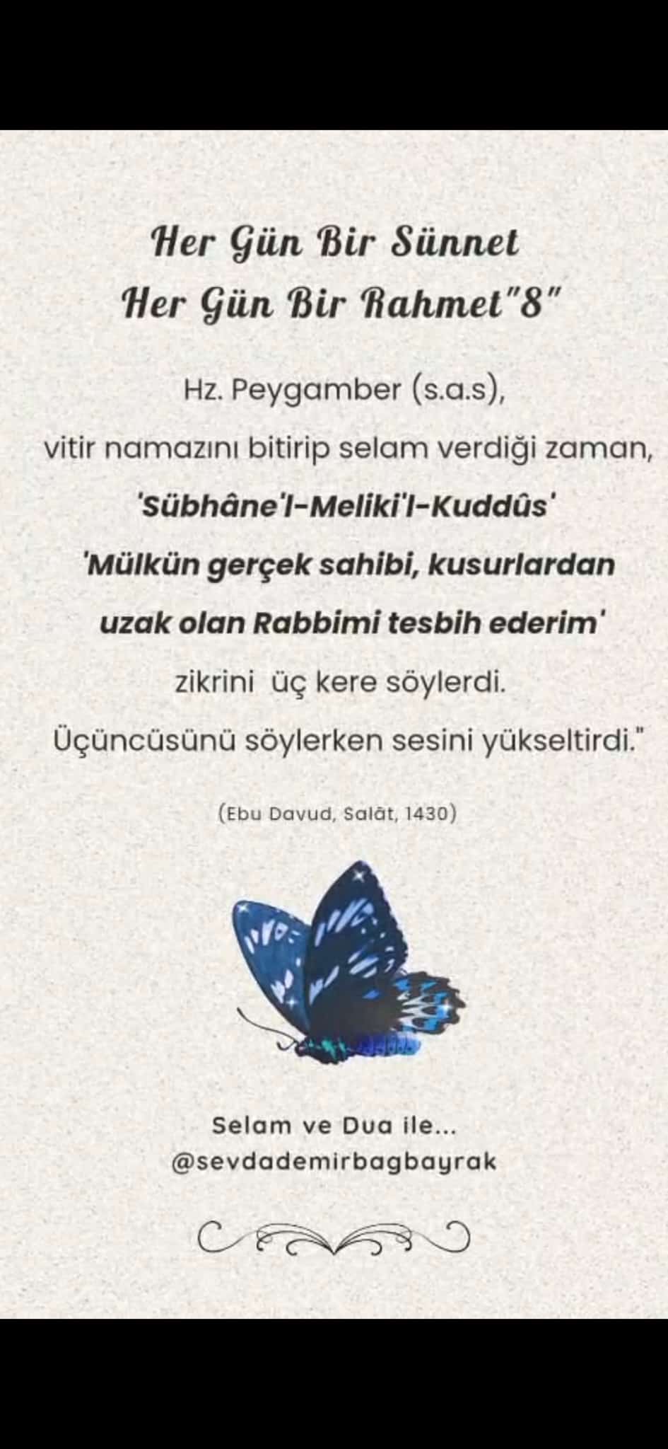 HER GÜN BİR SÜNNET  HER GÜN BİR RAHMET 8