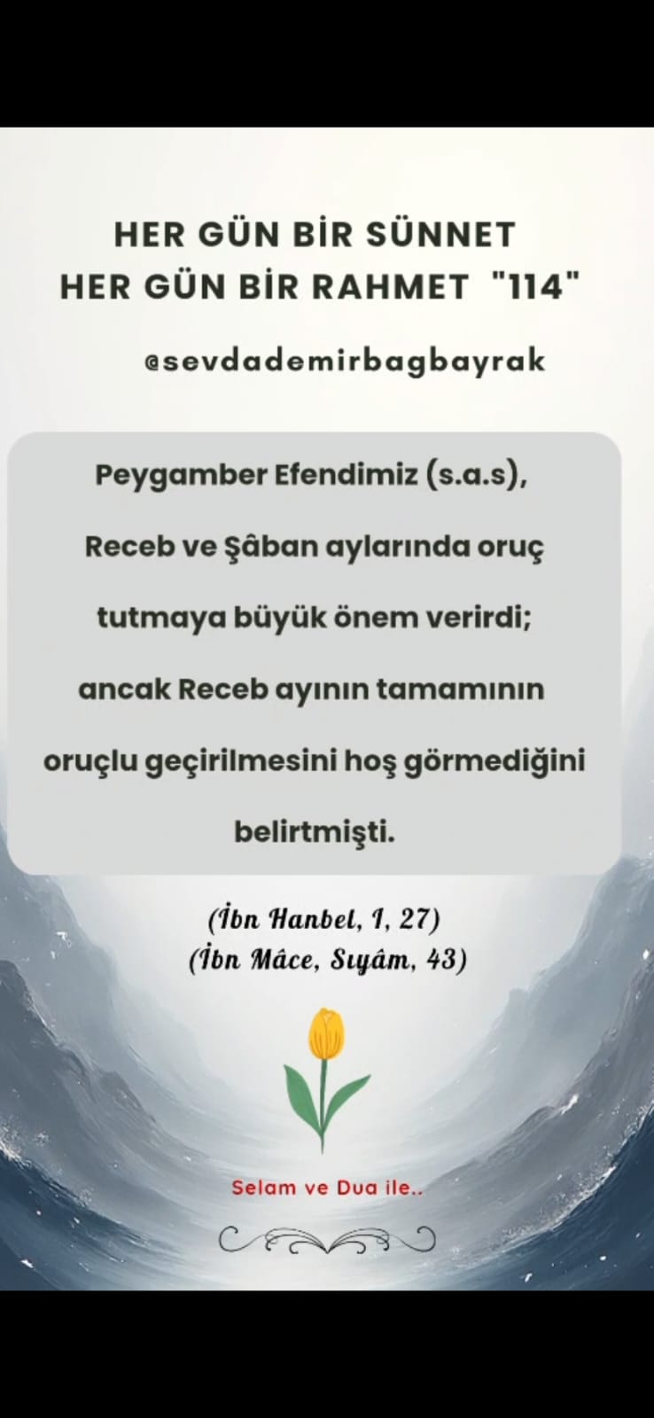 HER GÜN BİR SÜNNET HER GÜN BİR RAHMET 114