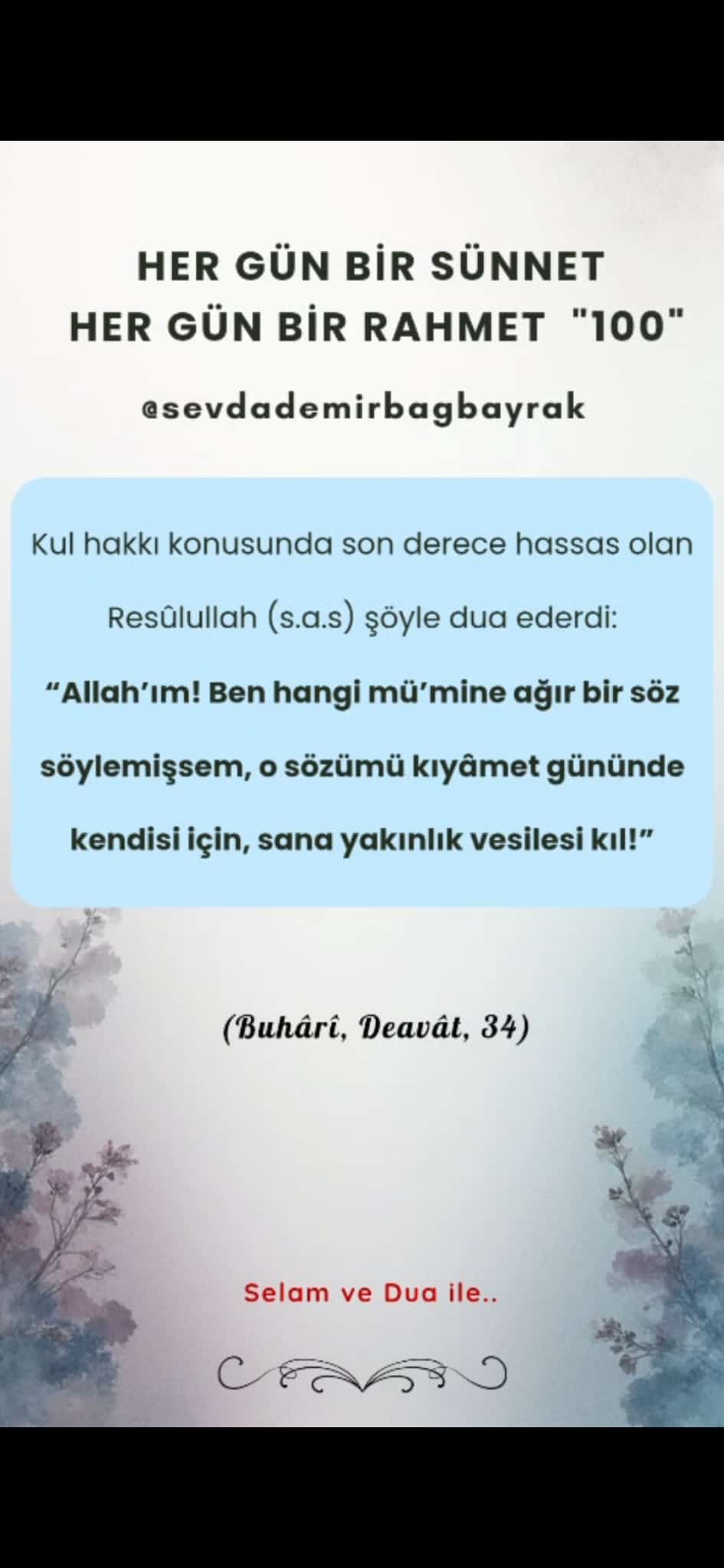 HER GÜN BİR SÜNNET HER GÜN BİR RAHMET 100