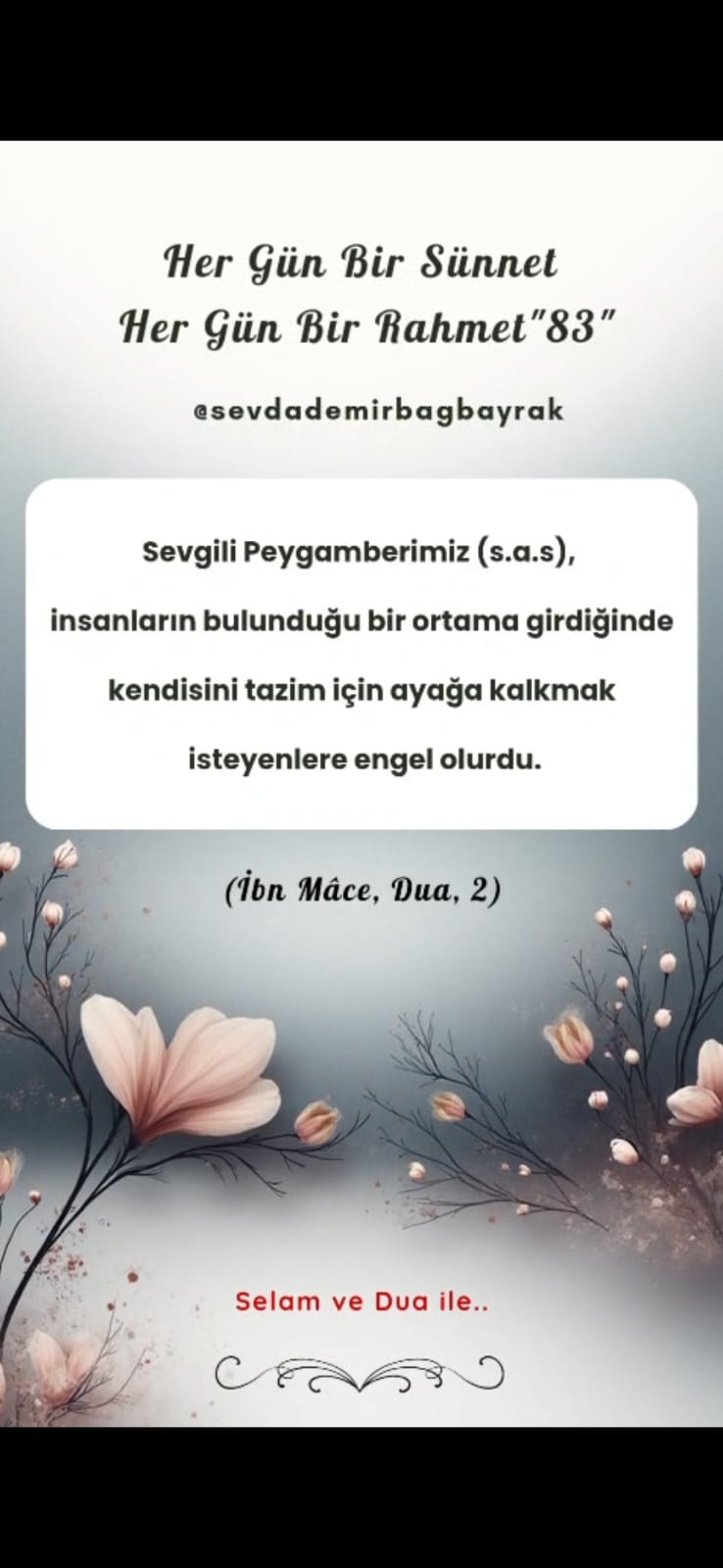 HER GÜN BİR SÜNNET HER GÜN BİR RAHMET 83
