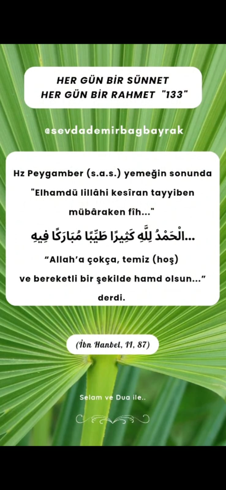 HER GÜN BİR SÜNNET HER GÜN RAHMET 133