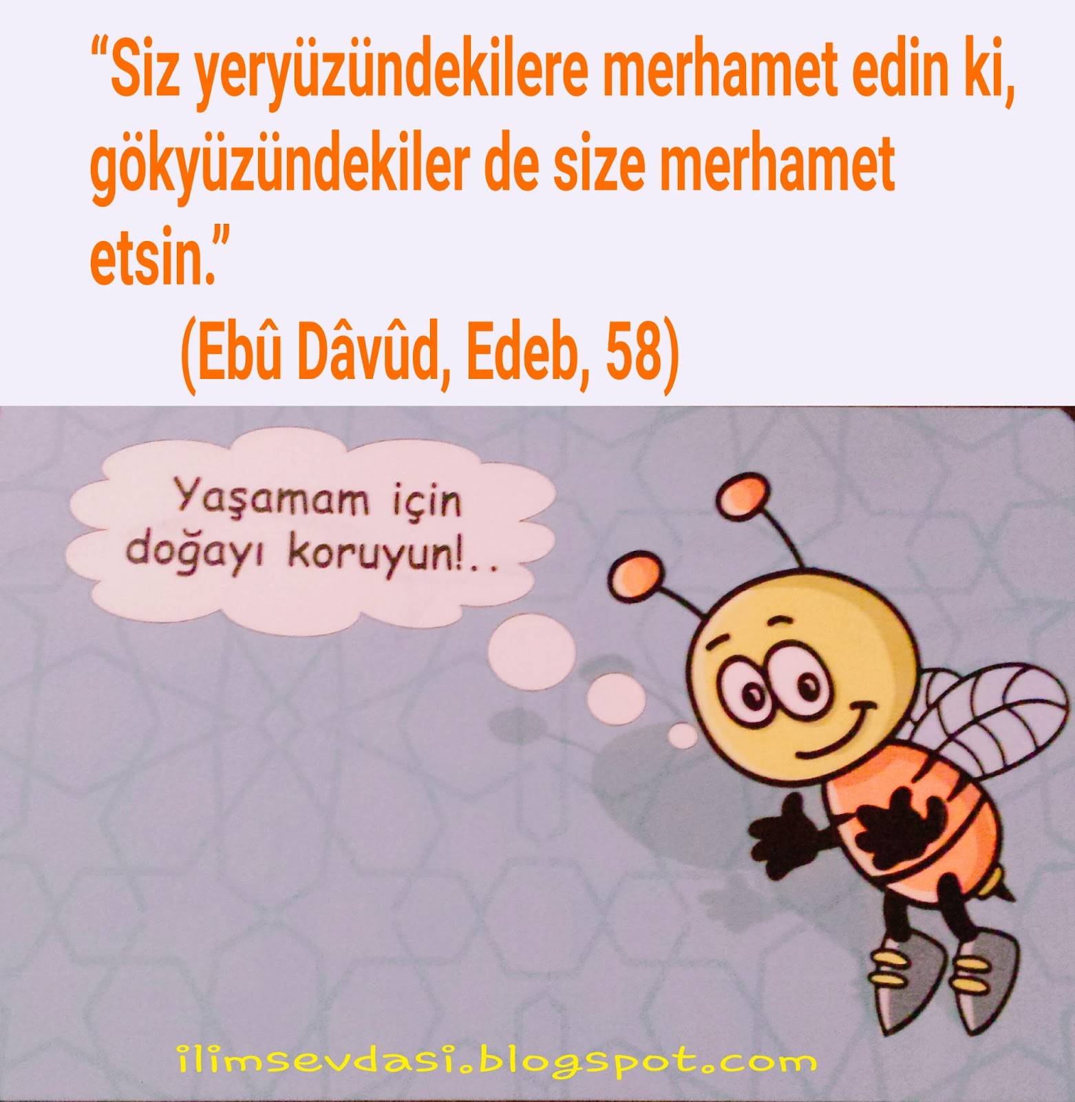 ÇOCUKLAR İÇİN HADİSLER (Ebû Dâvûd, Edeb, 58)  Yaşamam için doğayı koruyun!..  ilimsevdasi.blogspot.com