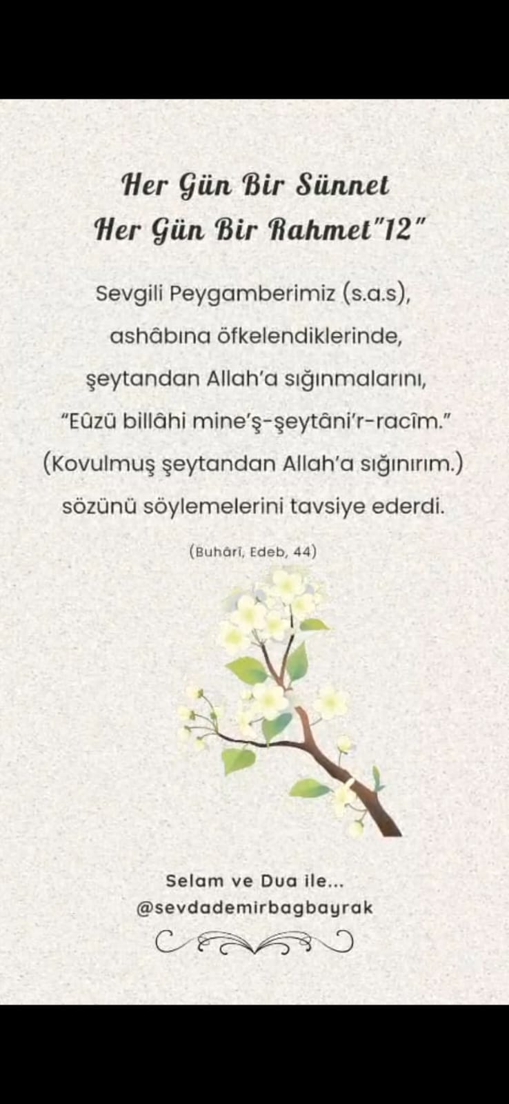 HER GÜN BİR SÜNNET HER GÜN BİR RAHMET 12 bu