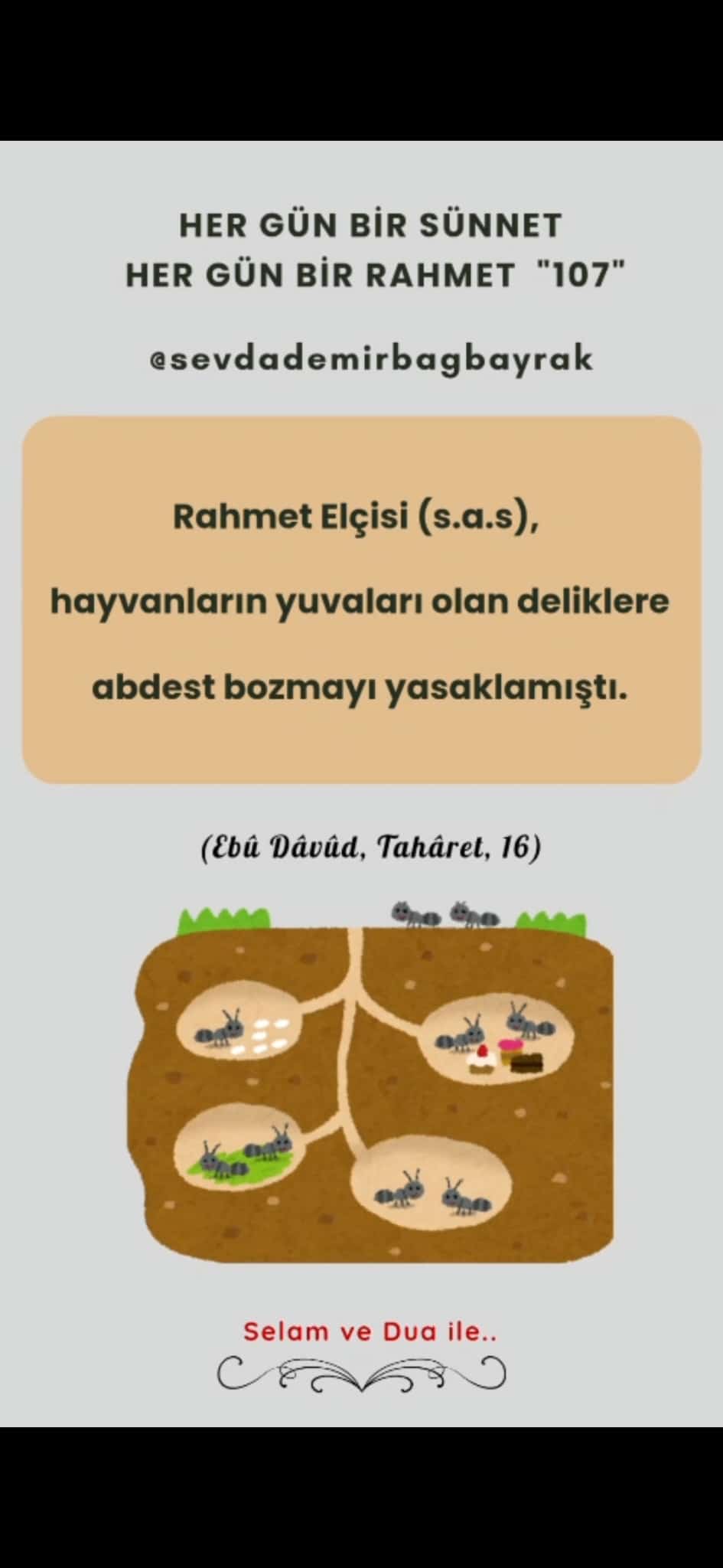 HER GÜN BİR SÜNNET HER GÜN BİR RAHMET 107
